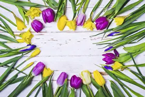 Pastel Colored Flowers Prints: Spring white floral background
