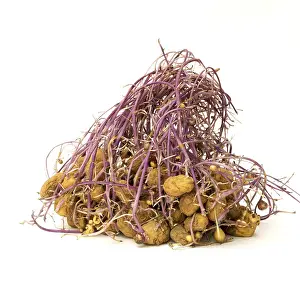 Heart Shaped Potato Prints: Sprouting potatoes on white background