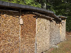 Stacked Logs Germany Prints: Stack of firewood, chopped and stacked in logs