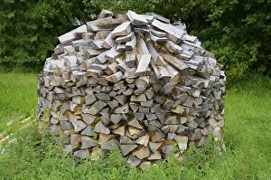 Prints of Stack of firewood in Den gamle by, The old village, open air museum in Odense, Fyn island, Fuen, Denmark, Scandinavia Odense Prints: Stack of Firewood in Den Gamle By, Odense, Denmark Print