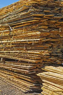 Deserted Forest Scene Prints: Stack of rough wooden boards