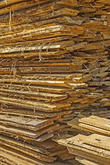 Deserted Forest Scene Prints: Stack of wooden boards
