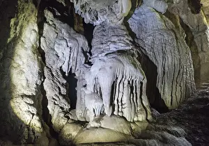 Animal Depiction In Nature Prints: Stalagmite in the shape of an elephant