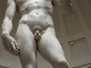 Michelangelo Sculpture Prints: Statue of David by Michelangelo