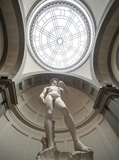 Michelangelo Sculpture Prints: Statue of David by Michelangelo