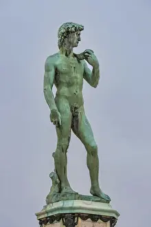 Statue of David Print, Florence Italy