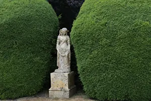 Deserted Park Scene Prints: Statue and yew tree in topiary