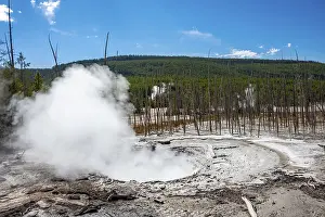 Wyoming USA Prints: Steaming hot spring, dead trees in the back