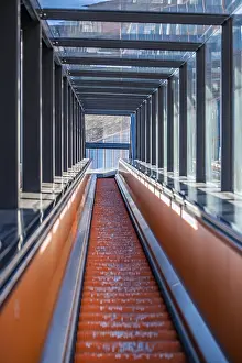 Deserted Entrance Prints: Steep escalator