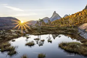 Scandinavian Morning Scene Prints: Stetind reflected in small pond