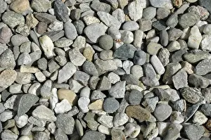 Rocky Terrain Prints: Stones