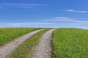Deserted Country Lane Prints: Stony field path through a spring meadow