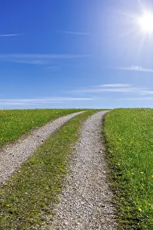 Spring Meadow Germany Prints: Stony field path through a spring meadow