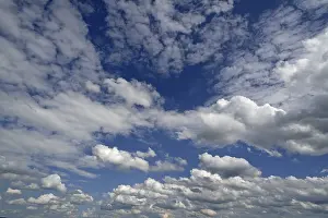 Low Angle View Of Clouds Prints: Stratocumulus clouds