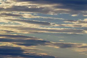 South Africa Evening Sky Prints: Stratocumulus clouds in the evening