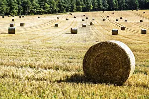 Scottish Farmland Prints: Straw bales in the Scottish fields
