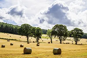 British Agricultural Landscape Prints: Straw bales in the Scottish fields