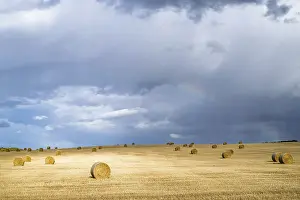 Scottish Farmland Prints: Straw bales on the Scottish fields