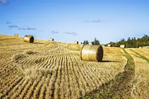Agricultural Landscapes UK Prints: Straw bales in the Scottish fields