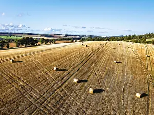 Drone Photography Scotland Prints: Straw bales in the Scottish fields from a drone