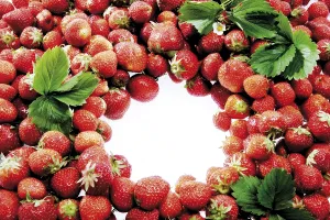 Strawberry Nutrition Prints: Strawberries