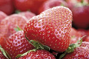 Strawberry Nutrition Prints: Strawberries
