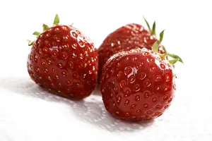 Studio Shot Fruits Prints: Three strawberries