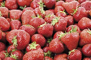 Close Up Berry Shot Prints: Strawberries, full-frame