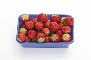 Fruity Studio Still Life Prints: Strawberries in a plastic box