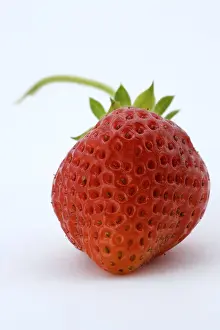 Red Fruit Photography Prints: Strawberry