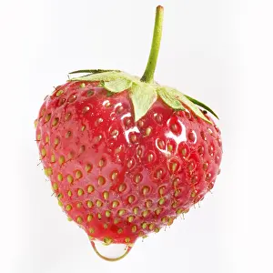 Red Coloured Food Prints: Strawberry