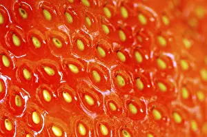 Strawberry Detail View Prints: Strawberry