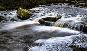 Motion Blur Photography Prints: A Stream in a forest with long exposure