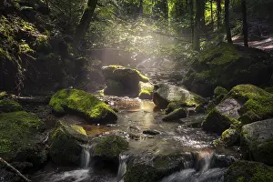 Europe's Eroding Landscapes Prints: A stream with rocks and moss in diffuse sunlight