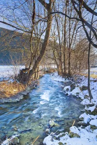 Uninhabited Riverbank Scene Prints: Stream between trees and bushes