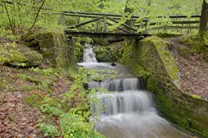 Deserted Water Source Prints: Stream, water, flowing, spring