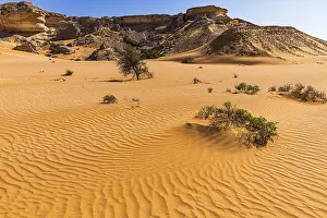 Sultanate Of Oman Sand Structures Prints: Striking rocks surrounded by windswept sand structures