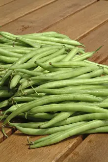 Agricultural Farming Practices Prints: String beans from the garden