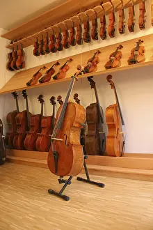 Violin Maker Prints: String instruments on display at a violin maker's (luthier's)
