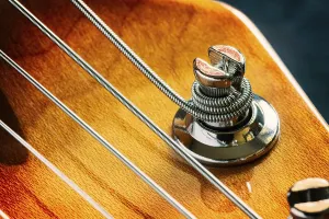 Music Instrument Details Prints: Detail of strings and a tuning keys