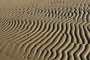 Deserted Beach Structures Prints: Striped patterns in the sand created by wind and waves