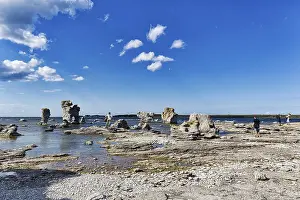 Limestone Rock Formations Sweden Prints: Strollers on the stone beach with Raukar