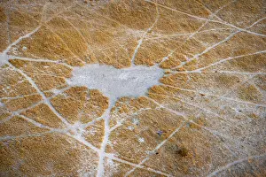 Prints of Structure and pattern of trails, animal trails, landscape, aerial view of the Okavango Delta, near Maun, Okavango Delta, Botswana Maun Prints: Okavango Delta Trails Aerial Print