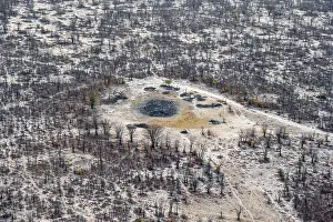Okavango River Aerial Photography Prints: Structure and pattern, trees in the dry season