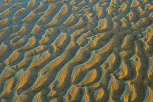 Deserted Sandy Ocean Beach Prints: Structure in sandy beach at low tide