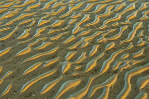 Evening Light On Mudflats Prints: Structure in sandy beach at low tide