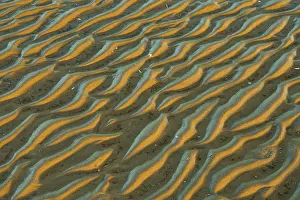 Deserted Sandy Ocean Beach Prints: Structure in sandy beach at low tide