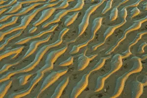 Low Tide Landscape Prints: Structure in sandy beach at low tide