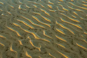 Evening Light On Mudflats Prints: Structure in sandy beach at low tide