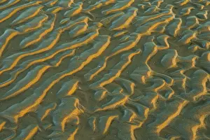 North German Nature Reserve Prints: Structure in sandy beach at low tide